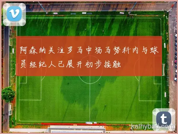 阿森纳主场球迷创上座率纪录 球队用胜利回馈支持